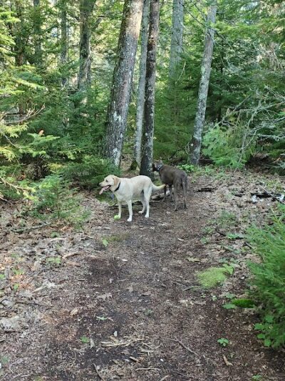 Blue Horizons Preserve - Bar Harbor, ME