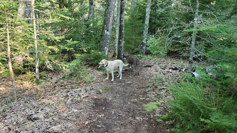 Blue Horizons Preserve - Bar Harbor, ME