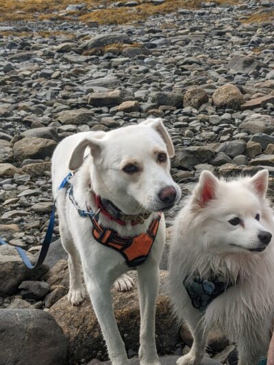 Blue Horizons Preserve - Bar Harbor, ME