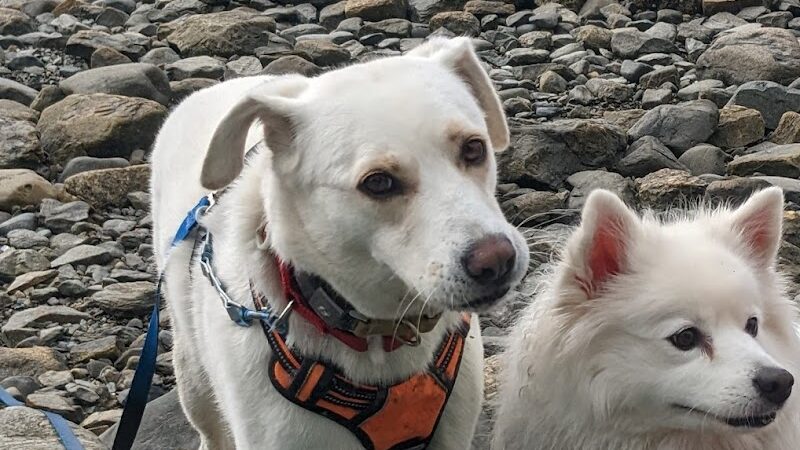 Blue Horizons Preserve - Bar Harbor, ME