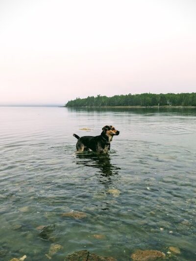 Blue Horizons Preserve - Bar Harbor, ME
