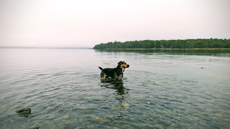 Blue Horizons Preserve - Bar Harbor, ME
