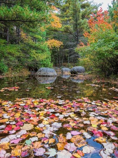 Bubble Pond Carriage Road Trailhead - Bar Harbor, ME