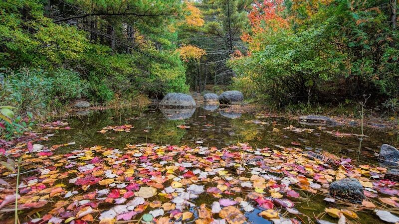 Bubble Pond Carriage Road Trailhead - Bar Harbor, ME