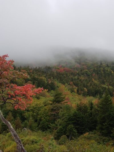 Bubble Pond Carriage Road Trailhead - Bar Harbor, ME
