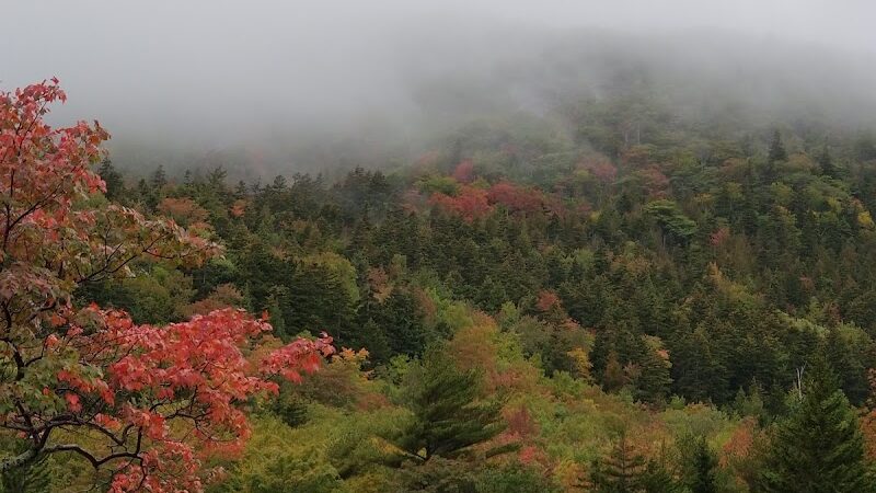 Bubble Pond Carriage Road Trailhead - Bar Harbor, ME
