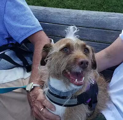 Grant Park - Bar Harbor, ME