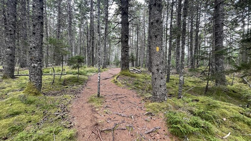 Indian Point Blagden Preserve - Bar Harbor, ME