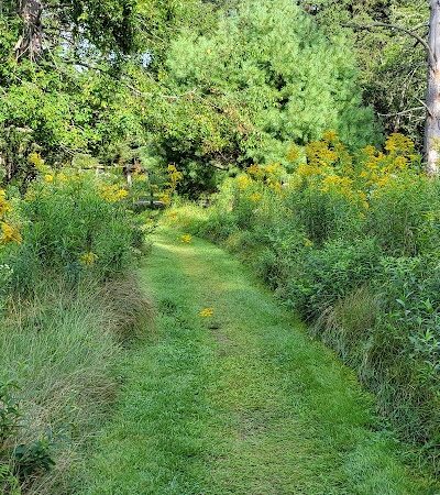 Indian Point Blagden Preserve - Bar Harbor, ME
