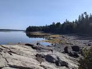 Indian Point Blagden Preserve - Bar Harbor, ME
