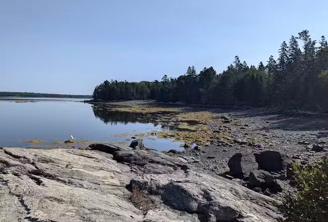 Indian Point Blagden Preserve - Bar Harbor, ME