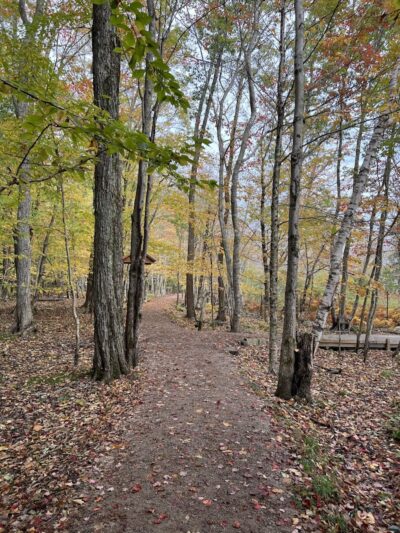 Jesup Path and Hemlock Path Loop - Bar Harbor, ME