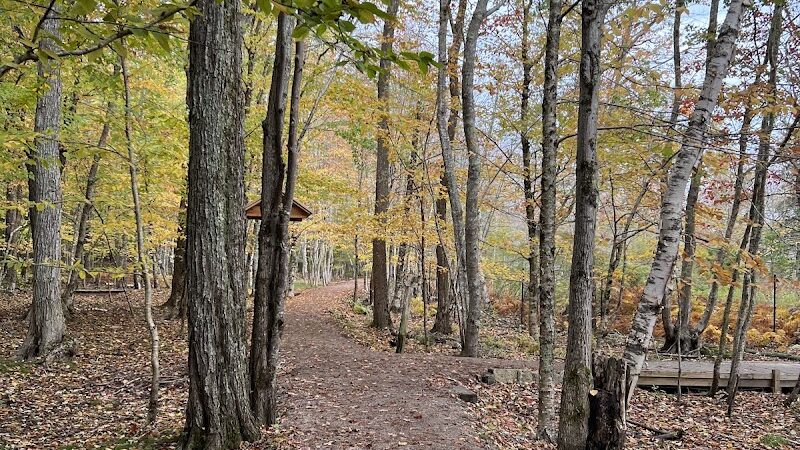 Jesup Path and Hemlock Path Loop - Bar Harbor, ME
