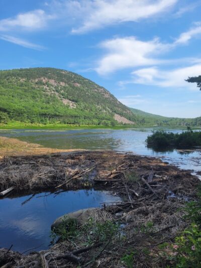 Jesup Path and Hemlock Path Loop - Bar Harbor, ME