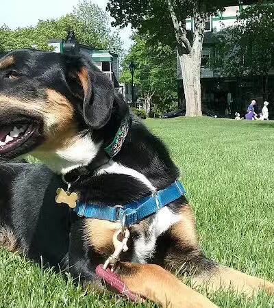 Village Green - Bar Harbor, ME
