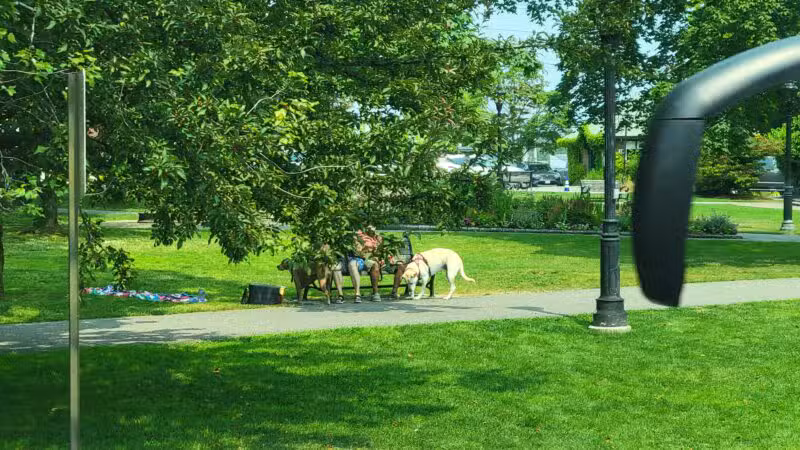 Village Green - Bar Harbor, ME