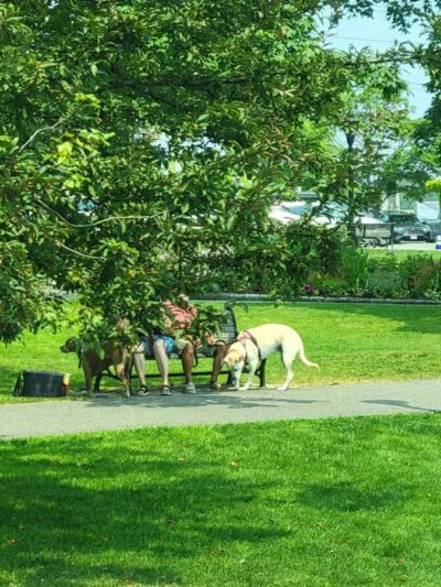 Village Green - Bar Harbor, ME
