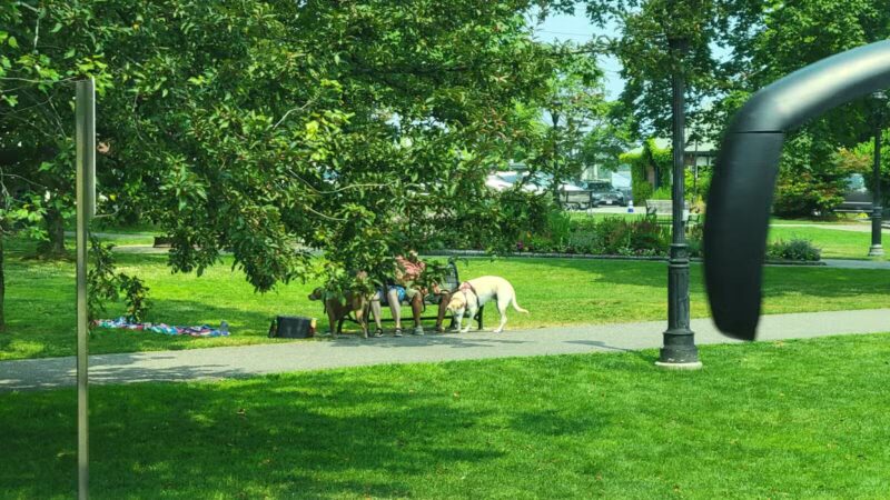 Village Green - Bar Harbor, ME