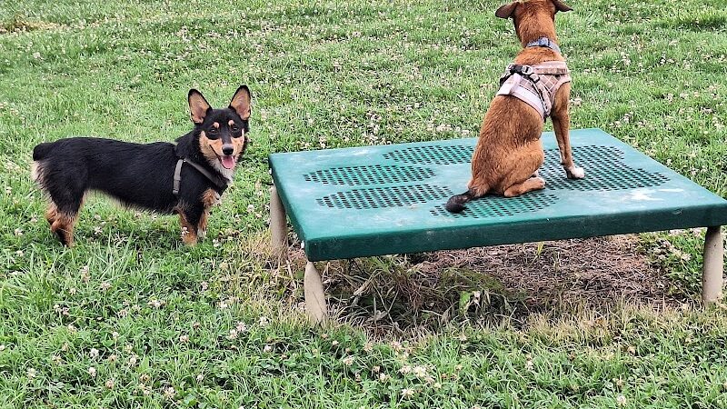 Barboursville Dog Park - Barboursville, WV