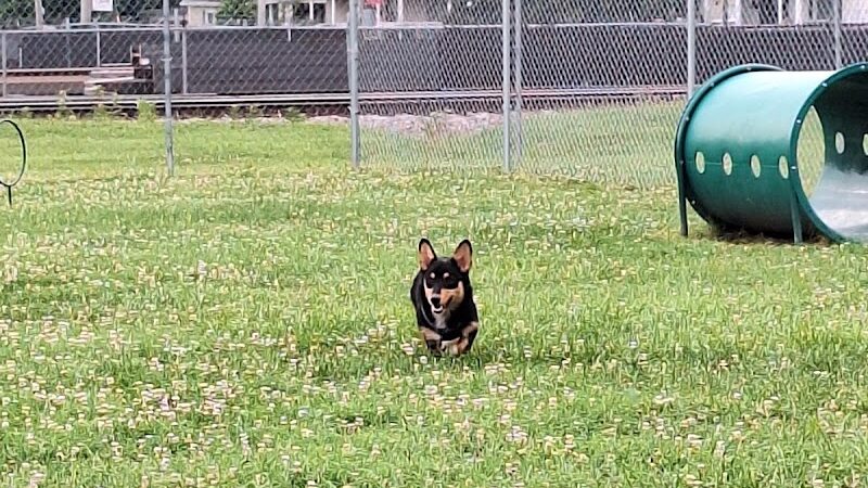 Barboursville Dog Park - Barboursville, WV