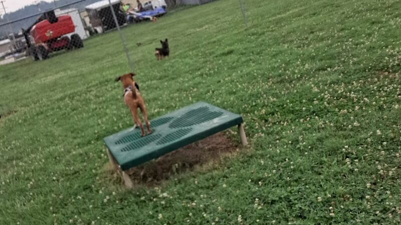 Barboursville Dog Park - Barboursville, WV