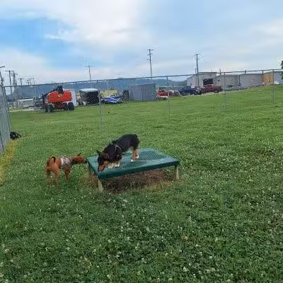 Barboursville Dog Park - Barboursville, WV