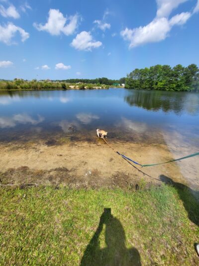 Maple Park & Maple Dog Park - Barco, NC