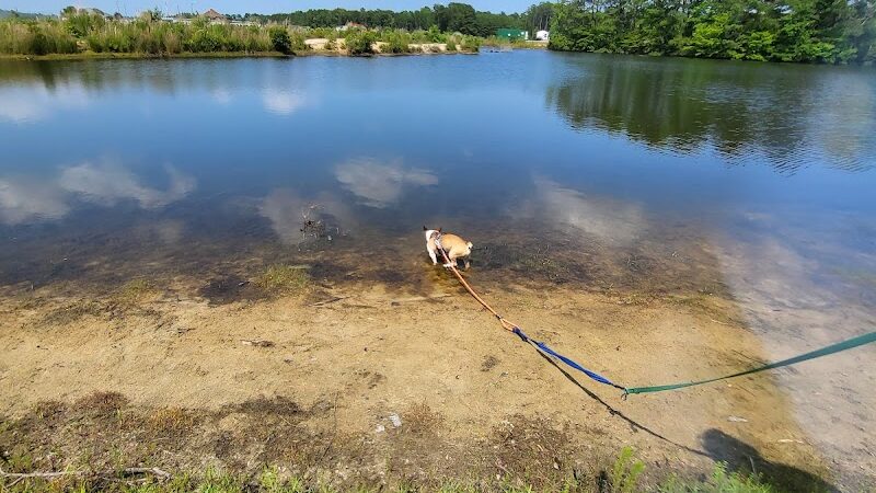 Maple Park & Maple Dog Park - Barco, NC