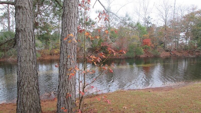 Maple Park & Maple Dog Park - Barco, NC