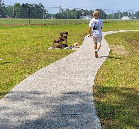 Maple Park & Maple Dog Park - Barco, NC