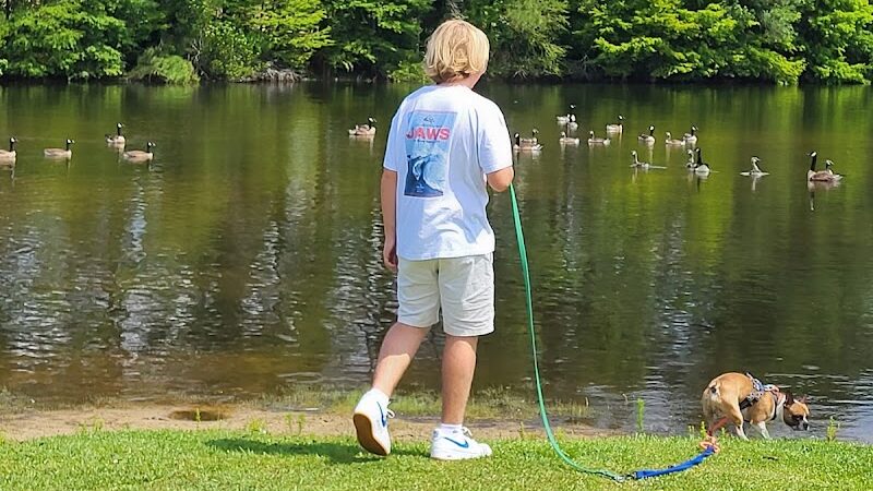 Maple Park & Maple Dog Park - Barco, NC