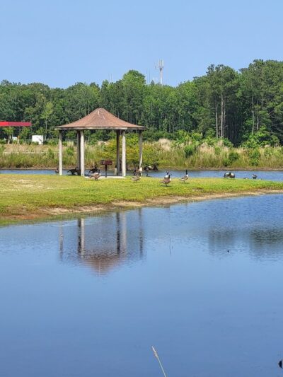 Maple Park & Maple Dog Park - Barco, NC