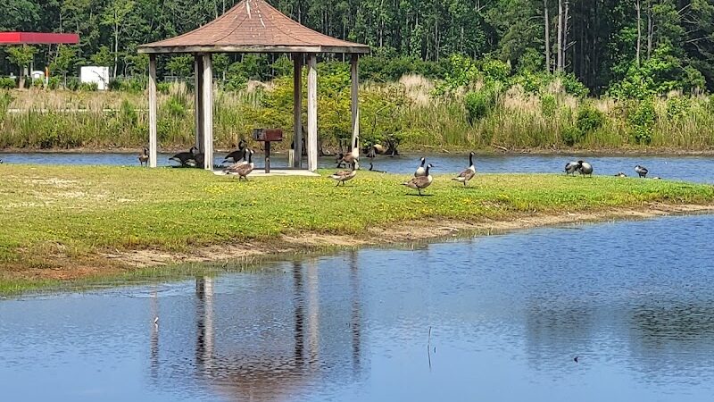 Maple Park & Maple Dog Park - Barco, NC