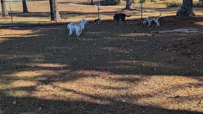 Maple Park & Maple Dog Park - Barco, NC