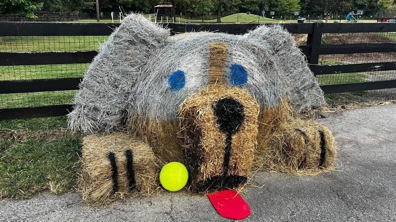 Bourbon City Bark Park - Bardstown, KY