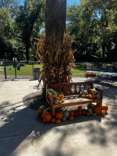 Bourbon City Bark Park - Bardstown, KY