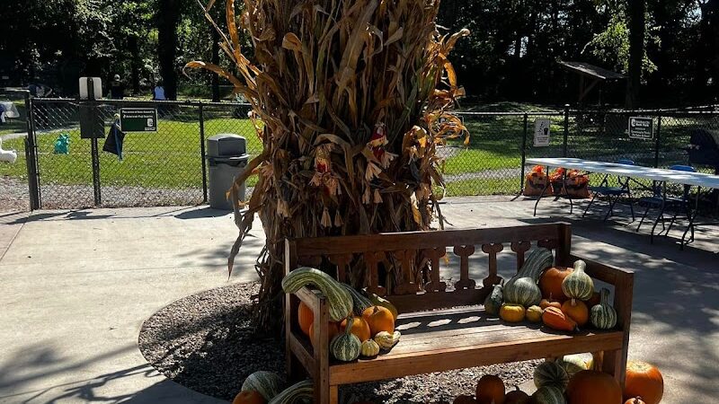 Bourbon City Bark Park - Bardstown, KY