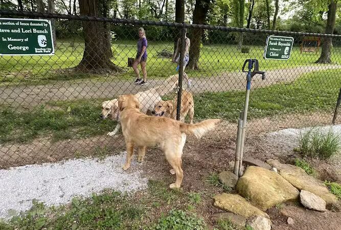 Bourbon City Bark Park - Bardstown, KY