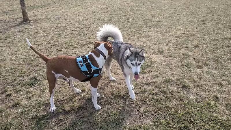 Hawk Hollow Dog Park - Bartlett, IL