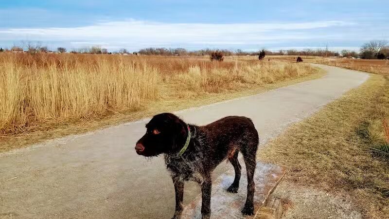 Hawk Hollow Dog Park - Bartlett, IL