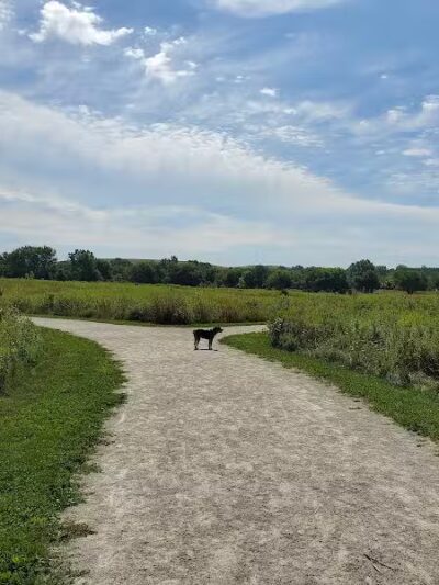 Hawk Hollow Dog Park - Bartlett, IL
