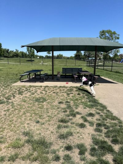 Riley's Run Dog Park - Bartlett, IL