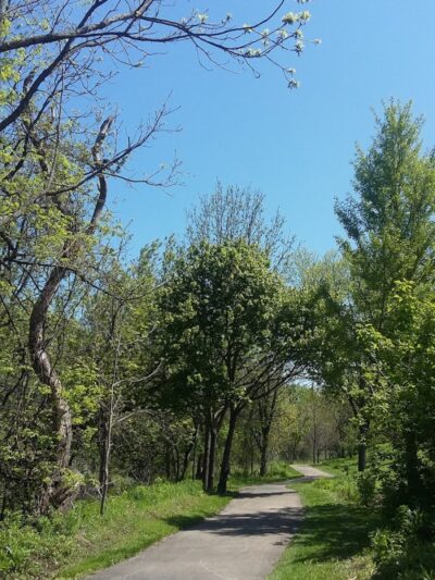 Riley's Run Dog Park - Bartlett, IL