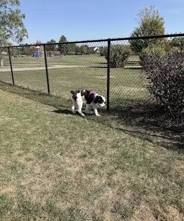 Riley's Run Dog Park - Bartlett, IL