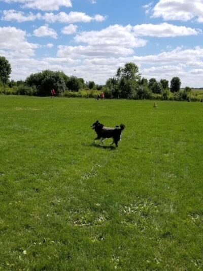 West Main Community and Bark Park - Batavia, IL