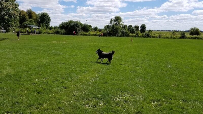 West Main Community and Bark Park - Batavia, IL