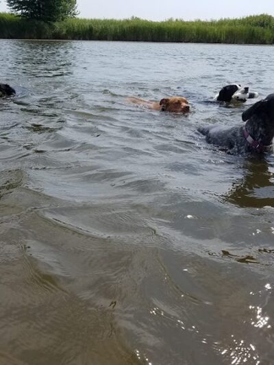 West Main Community and Bark Park - Batavia, IL