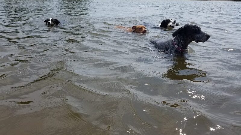 West Main Community and Bark Park - Batavia, IL