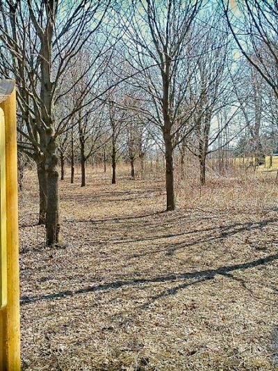 West Main Community and Bark Park - Batavia, IL