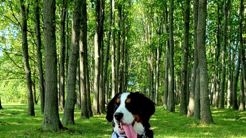 West Main Community and Bark Park - Batavia, IL